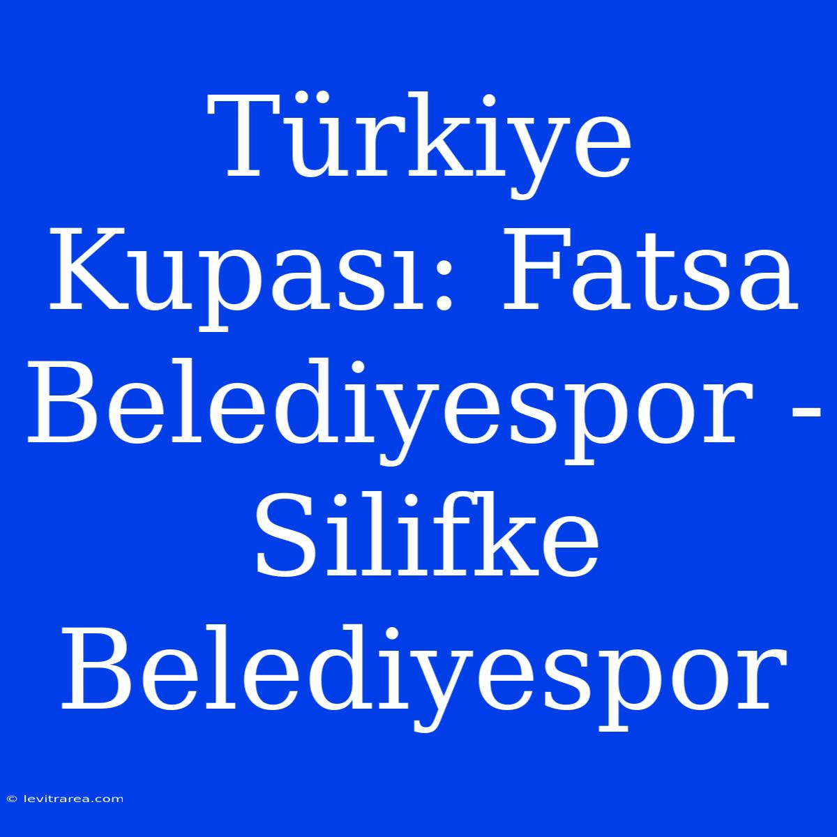 Türkiye Kupası: Fatsa Belediyespor - Silifke Belediyespor