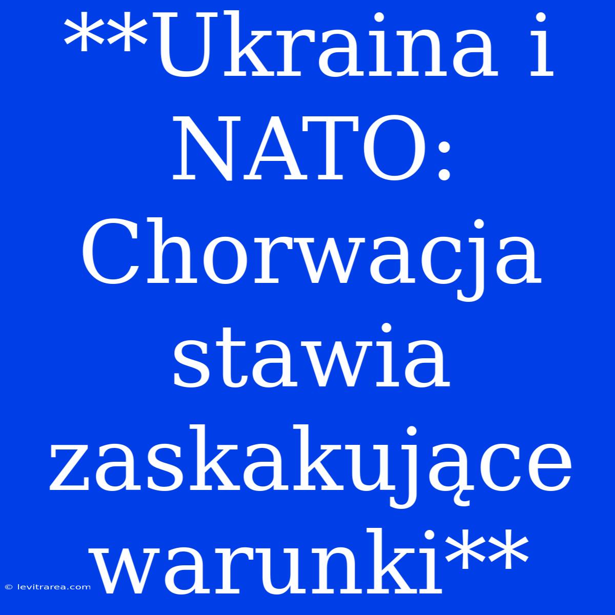 **Ukraina I NATO: Chorwacja Stawia Zaskakujące Warunki**