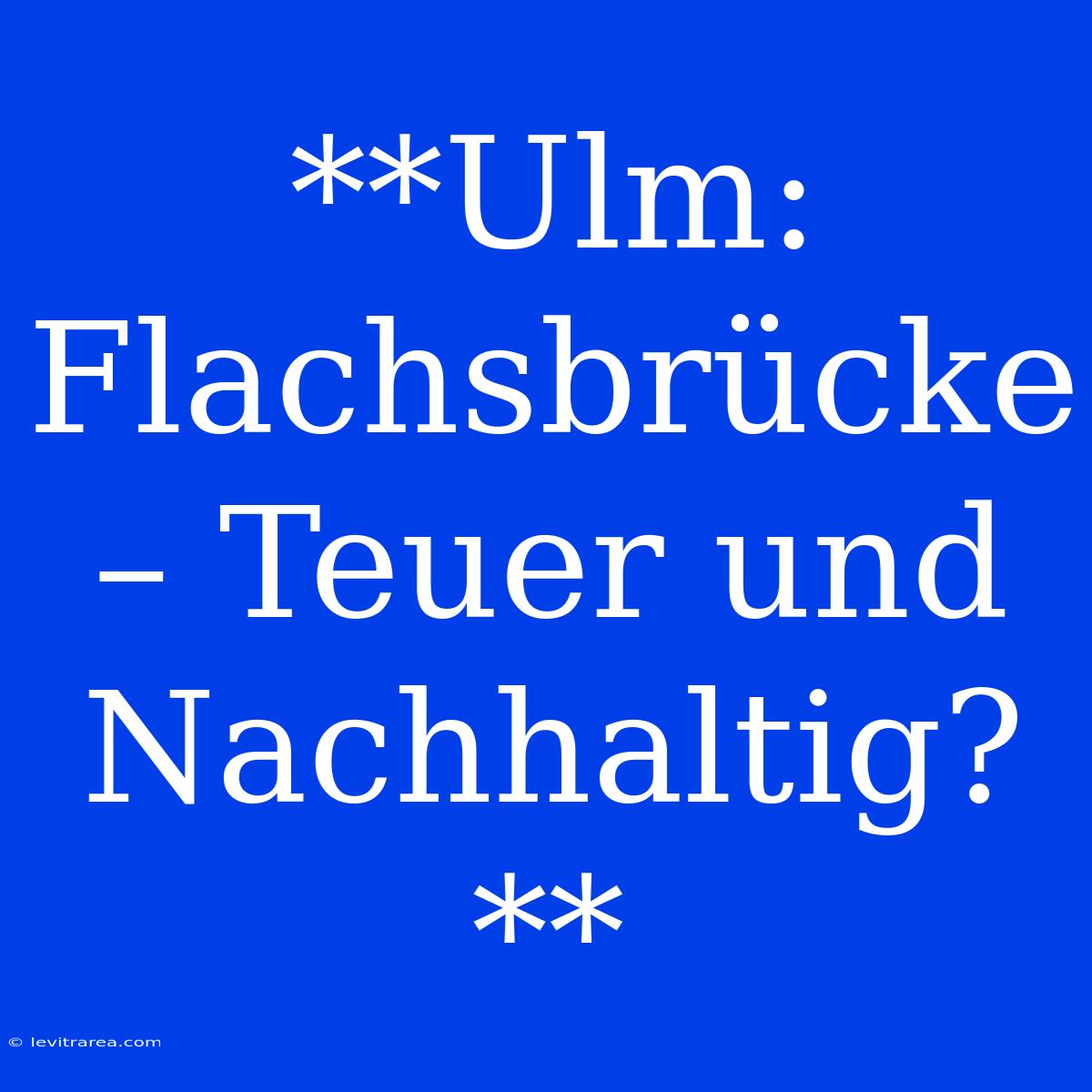 **Ulm: Flachsbrücke – Teuer Und Nachhaltig?**