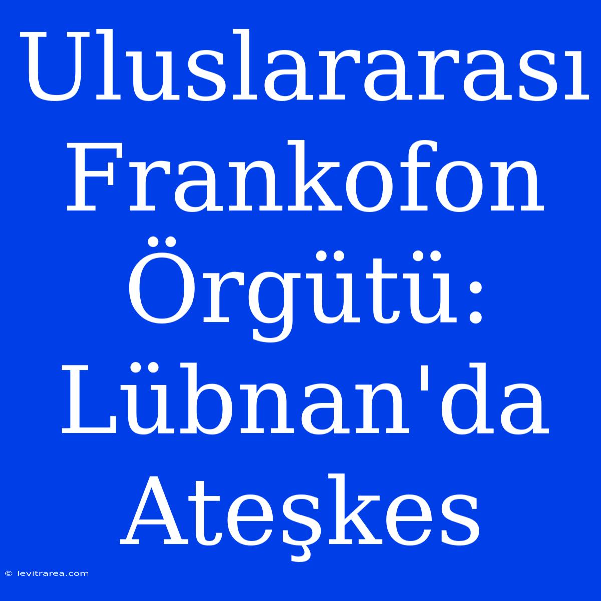 Uluslararası Frankofon Örgütü: Lübnan'da Ateşkes