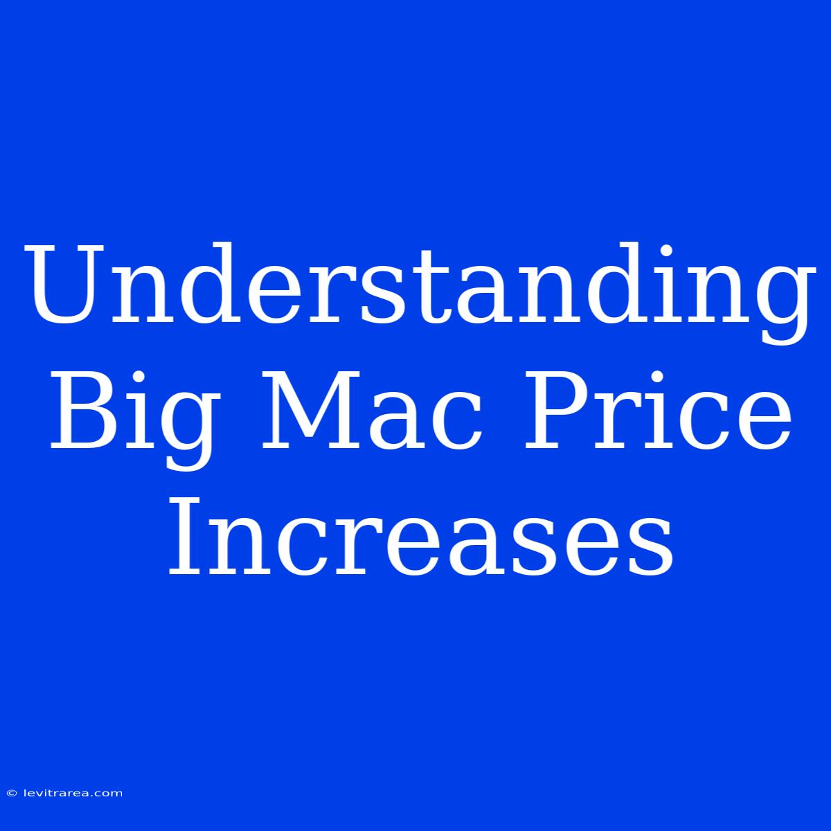 Understanding Big Mac Price Increases