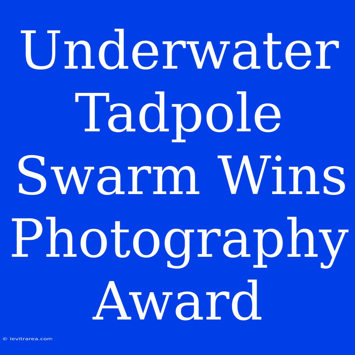 Underwater Tadpole Swarm Wins Photography Award