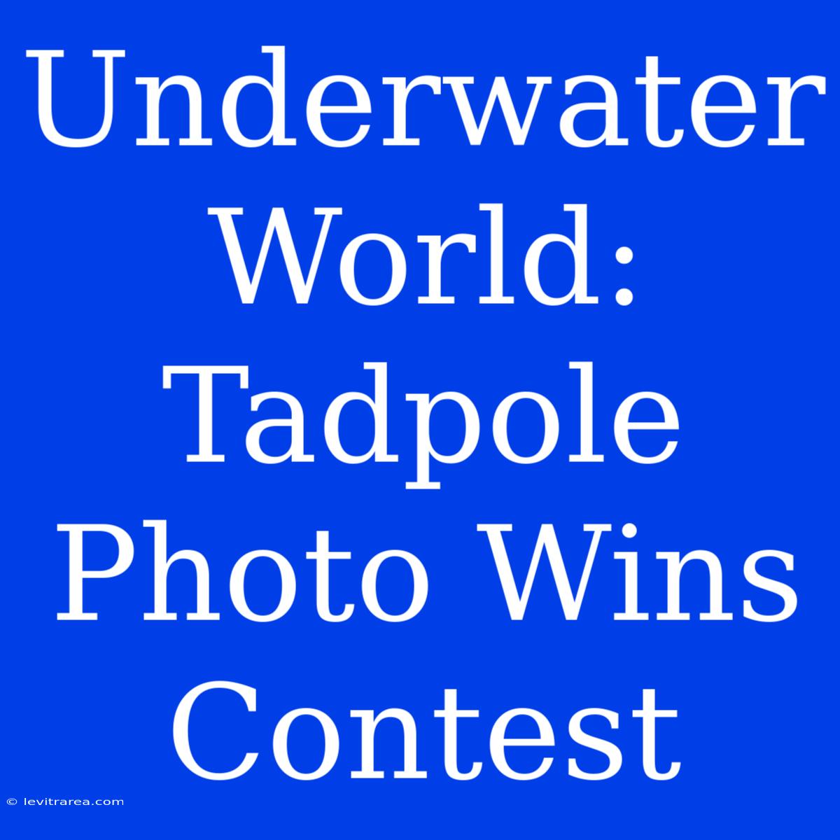 Underwater World: Tadpole Photo Wins Contest