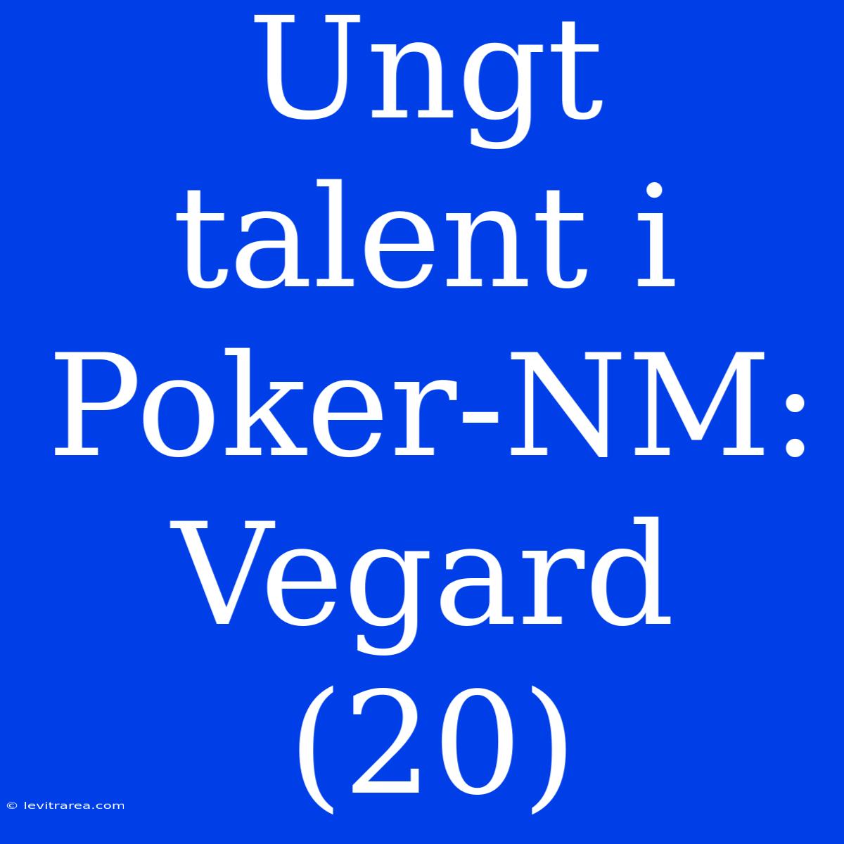 Ungt Talent I Poker-NM: Vegard (20)