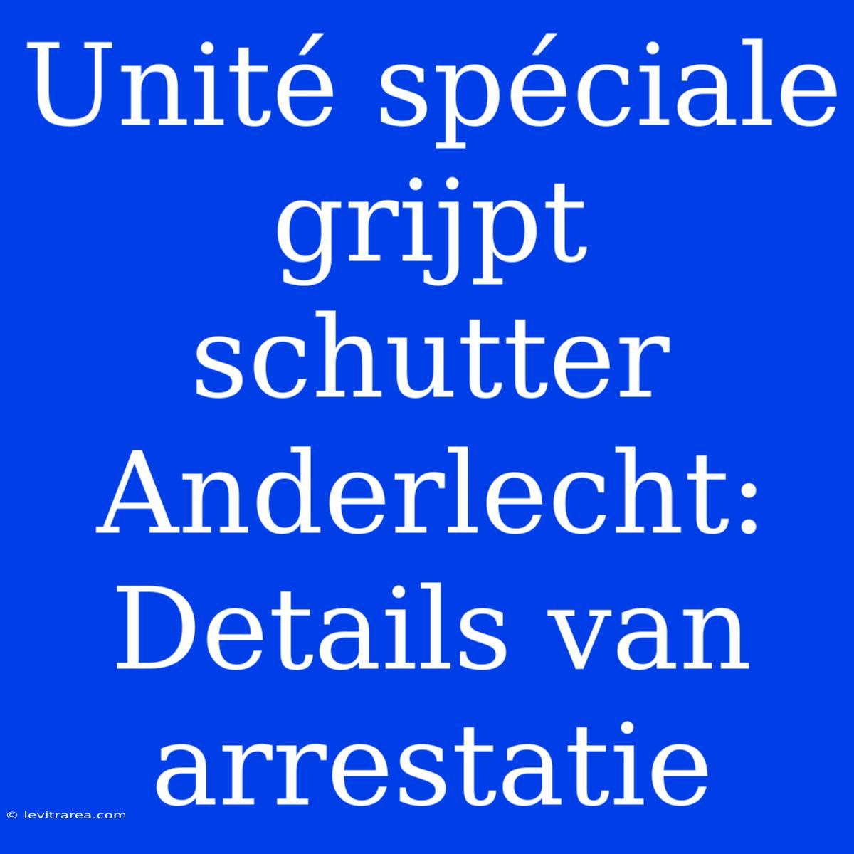 Unité Spéciale Grijpt Schutter Anderlecht: Details Van Arrestatie