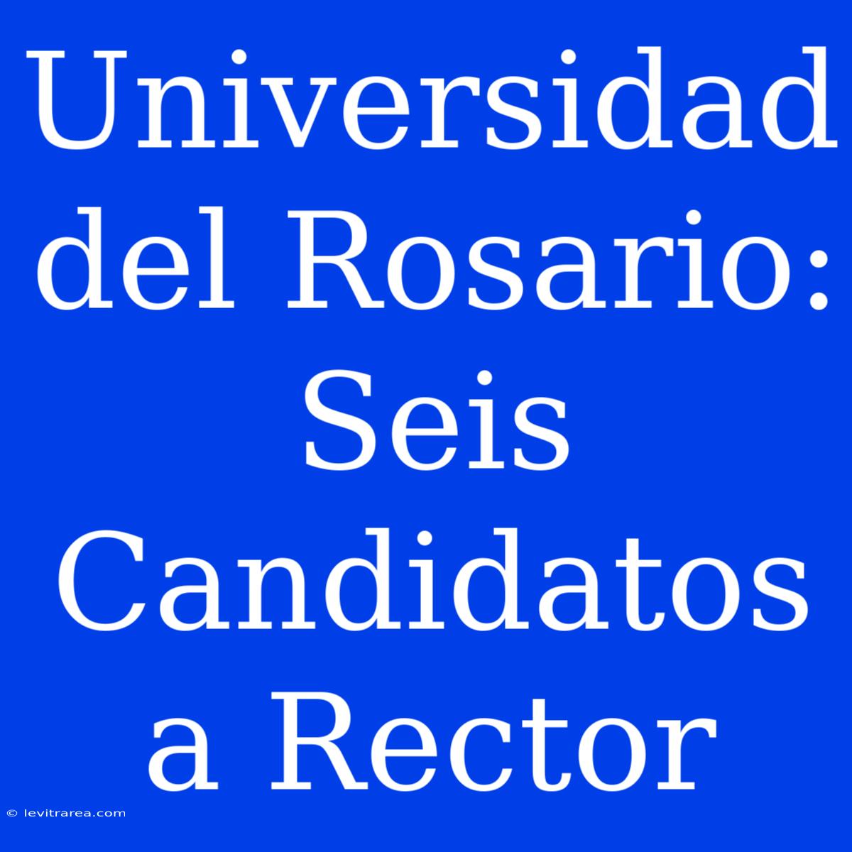 Universidad Del Rosario: Seis Candidatos A Rector