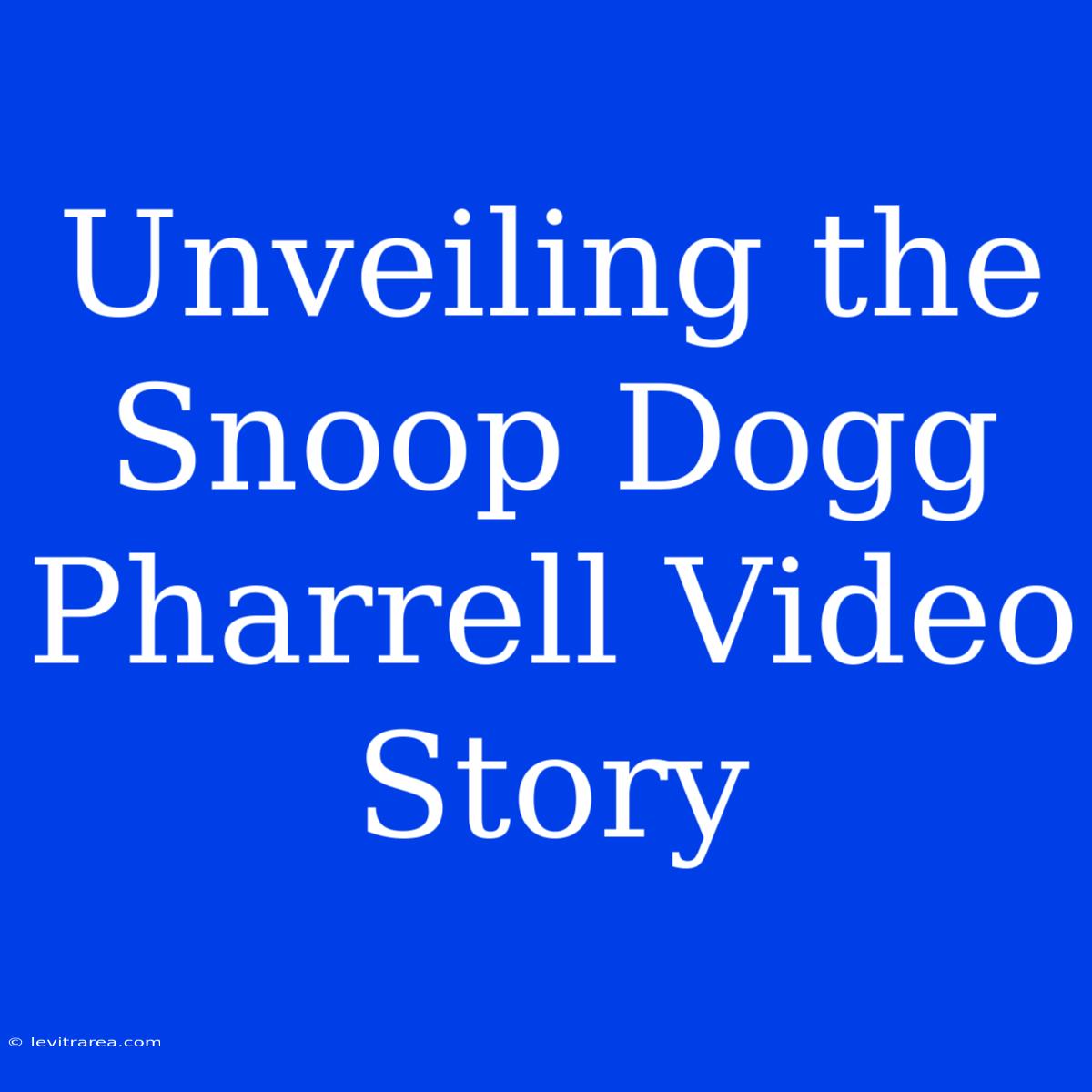 Unveiling The Snoop Dogg Pharrell Video Story