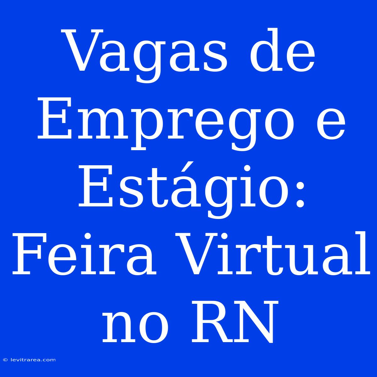 Vagas De Emprego E Estágio: Feira Virtual No RN