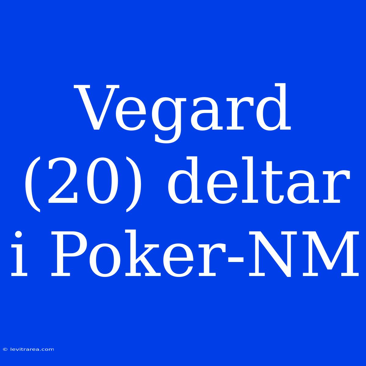 Vegard (20) Deltar I Poker-NM