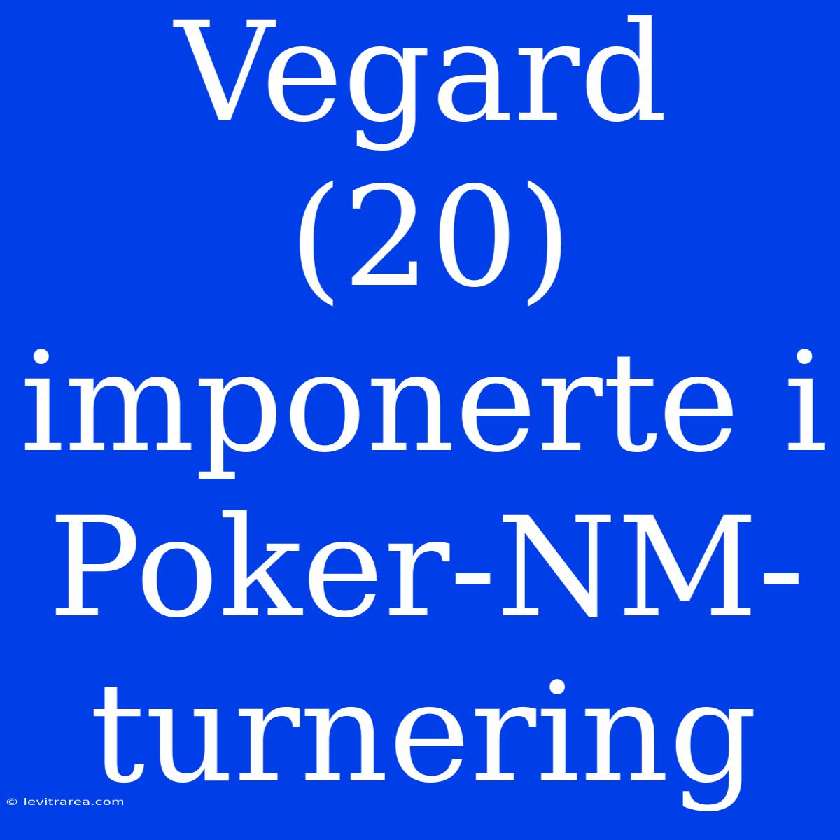 Vegard (20) Imponerte I Poker-NM-turnering