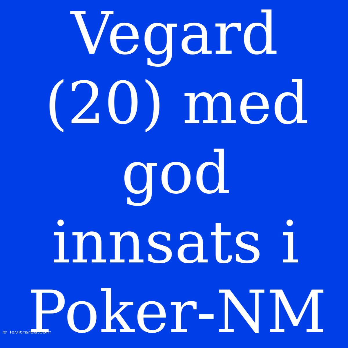 Vegard (20) Med God Innsats I Poker-NM