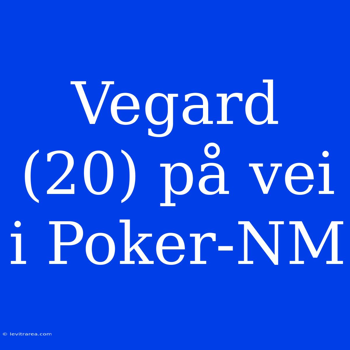 Vegard (20) På Vei I Poker-NM