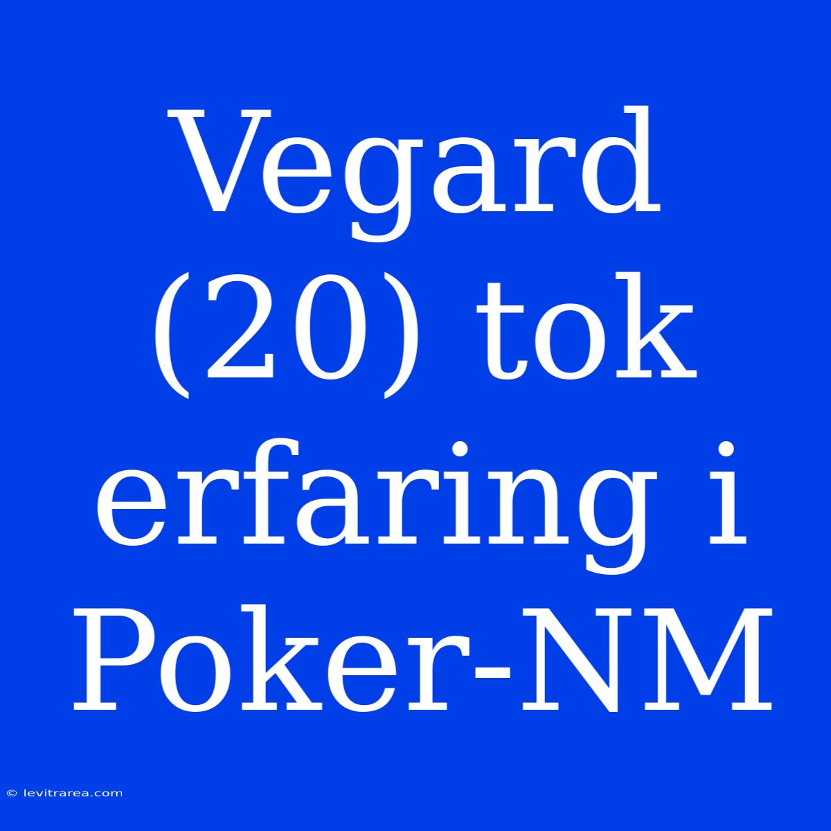 Vegard (20) Tok Erfaring I Poker-NM 