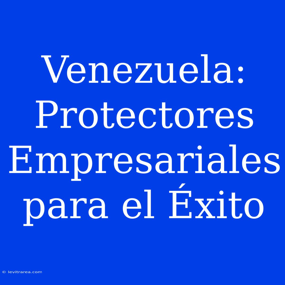 Venezuela: Protectores Empresariales Para El Éxito