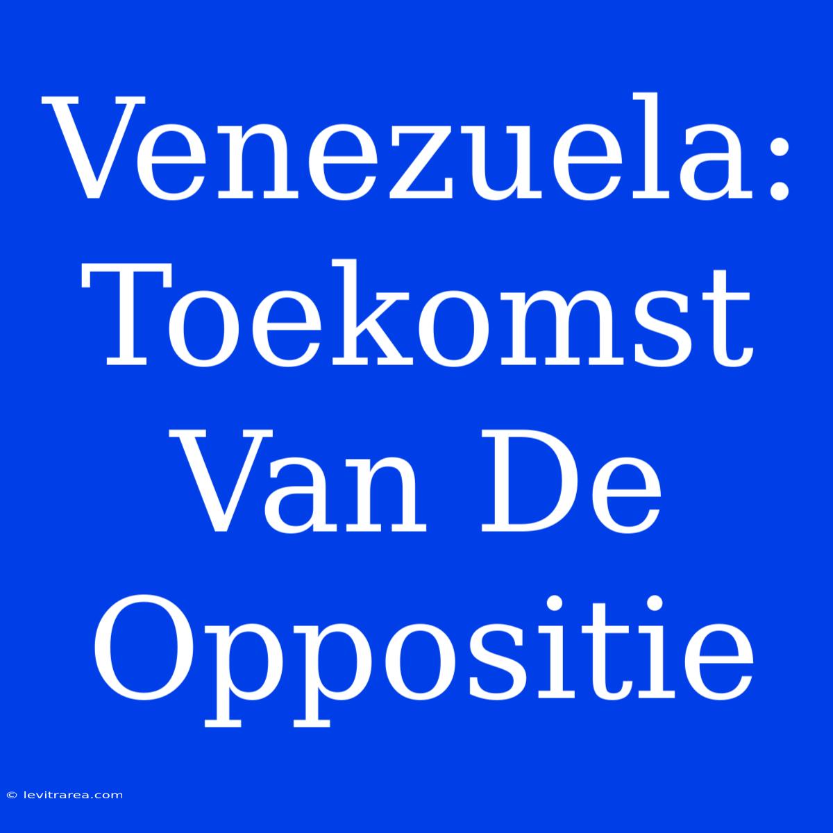 Venezuela: Toekomst Van De Oppositie