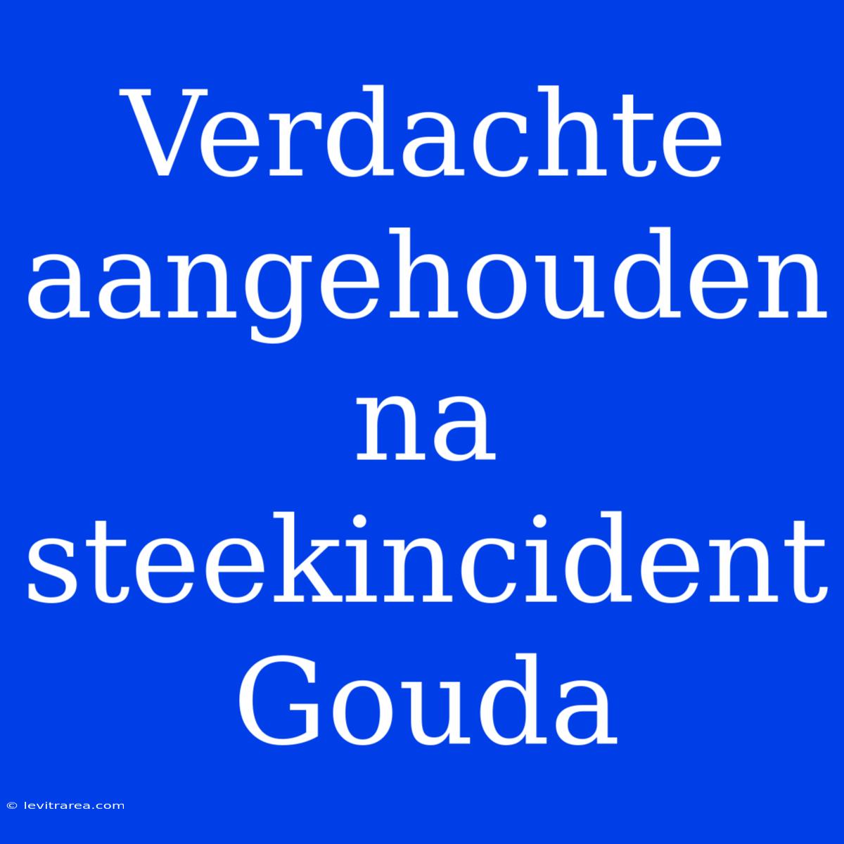 Verdachte Aangehouden Na Steekincident Gouda