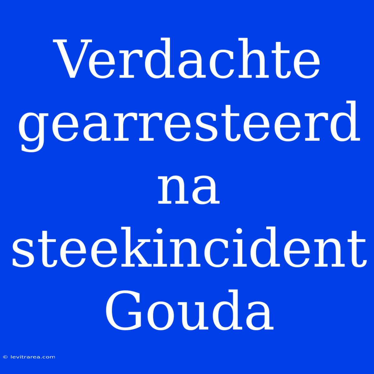 Verdachte Gearresteerd Na Steekincident Gouda