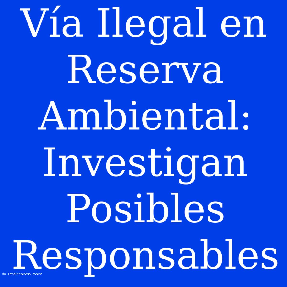 Vía Ilegal En Reserva Ambiental: Investigan Posibles Responsables