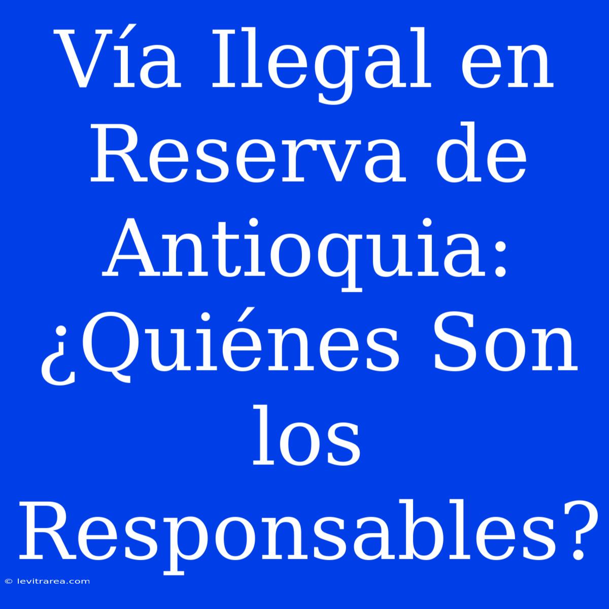 Vía Ilegal En Reserva De Antioquia: ¿Quiénes Son Los Responsables?