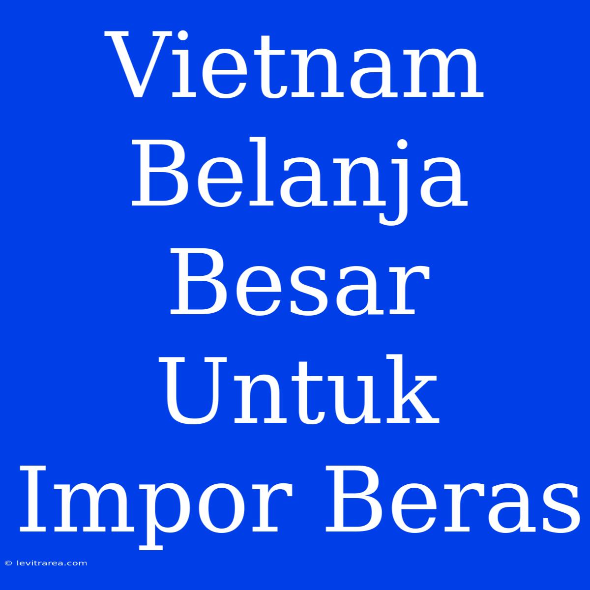 Vietnam Belanja Besar Untuk Impor Beras