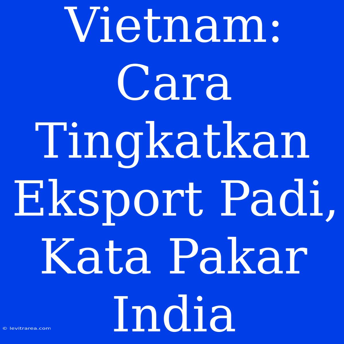 Vietnam: Cara Tingkatkan Eksport Padi, Kata Pakar India