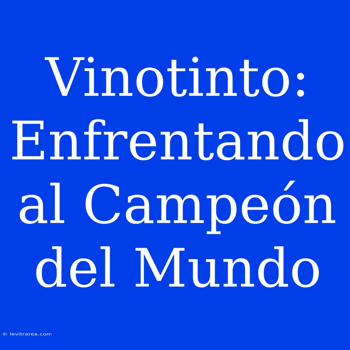 Vinotinto: Enfrentando Al Campeón Del Mundo