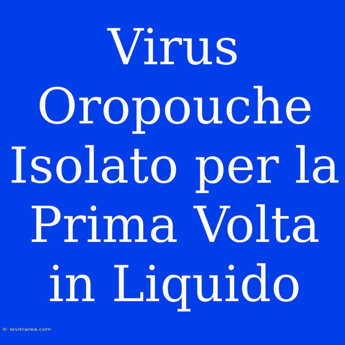 Virus Oropouche Isolato Per La Prima Volta In Liquido