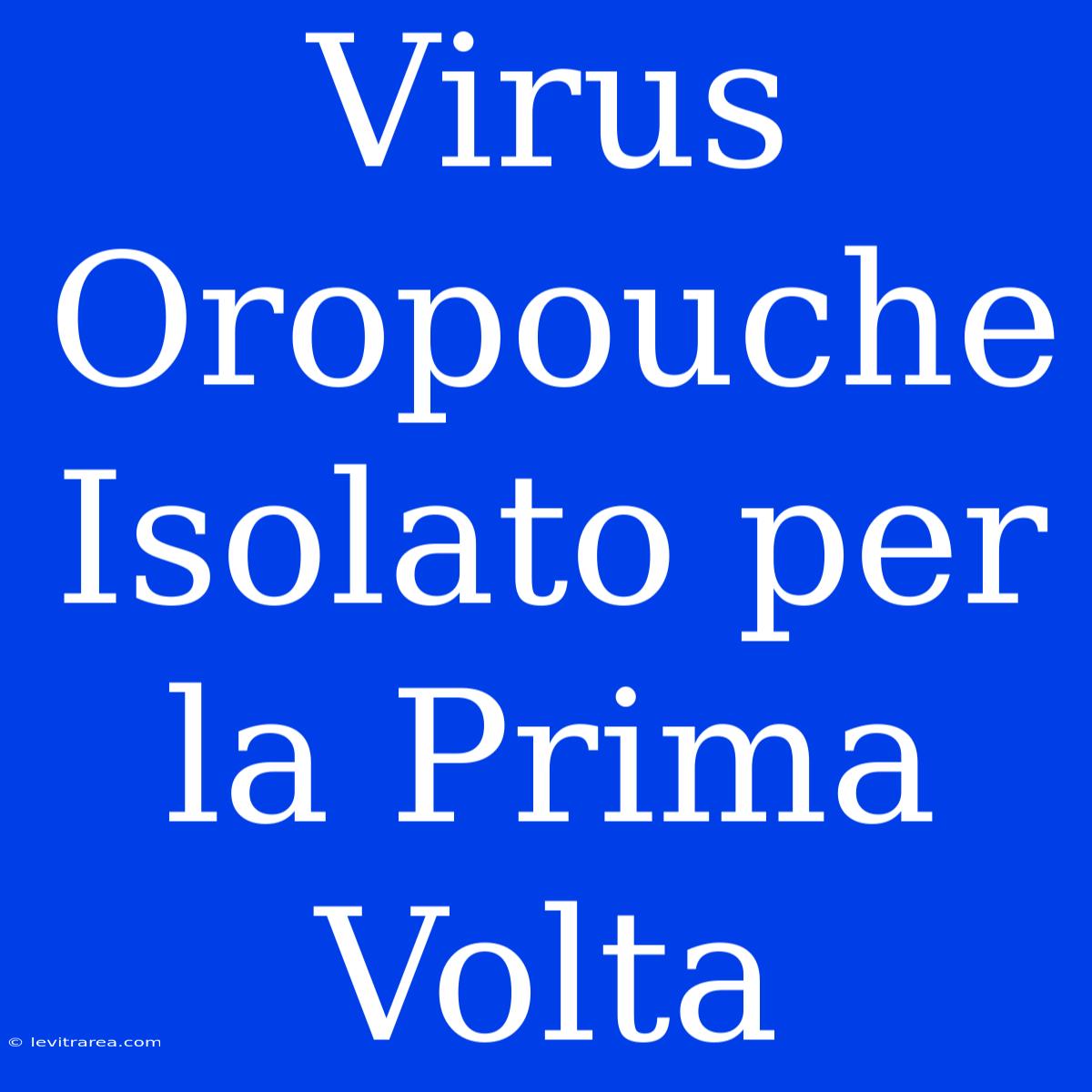 Virus Oropouche Isolato Per La Prima Volta