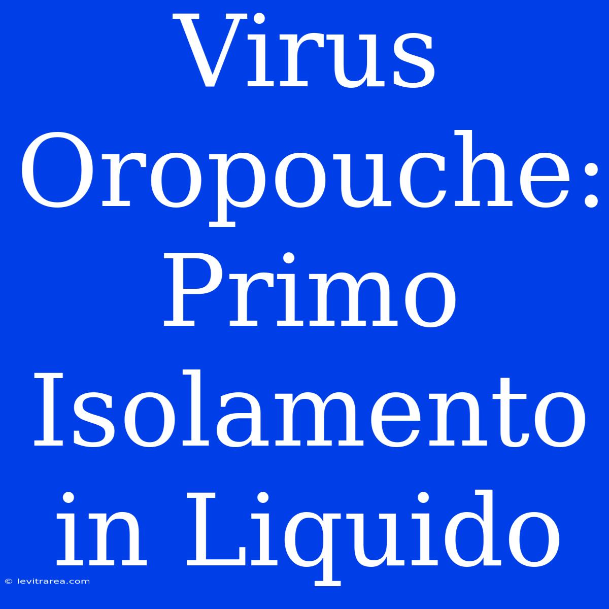 Virus Oropouche: Primo Isolamento In Liquido