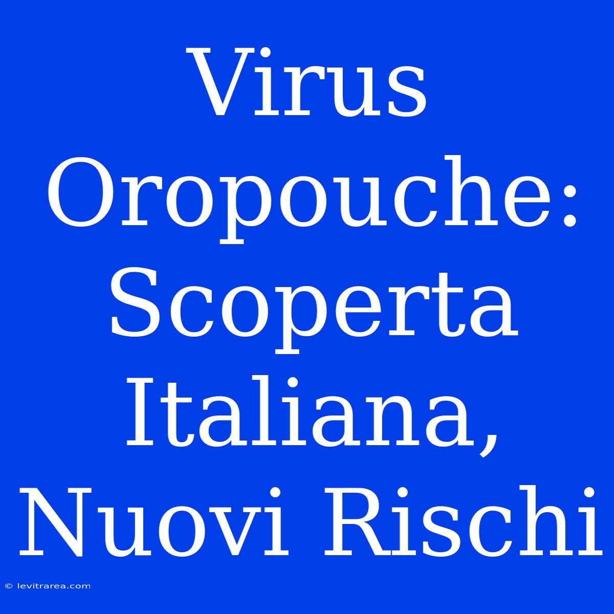 Virus Oropouche: Scoperta Italiana, Nuovi Rischi