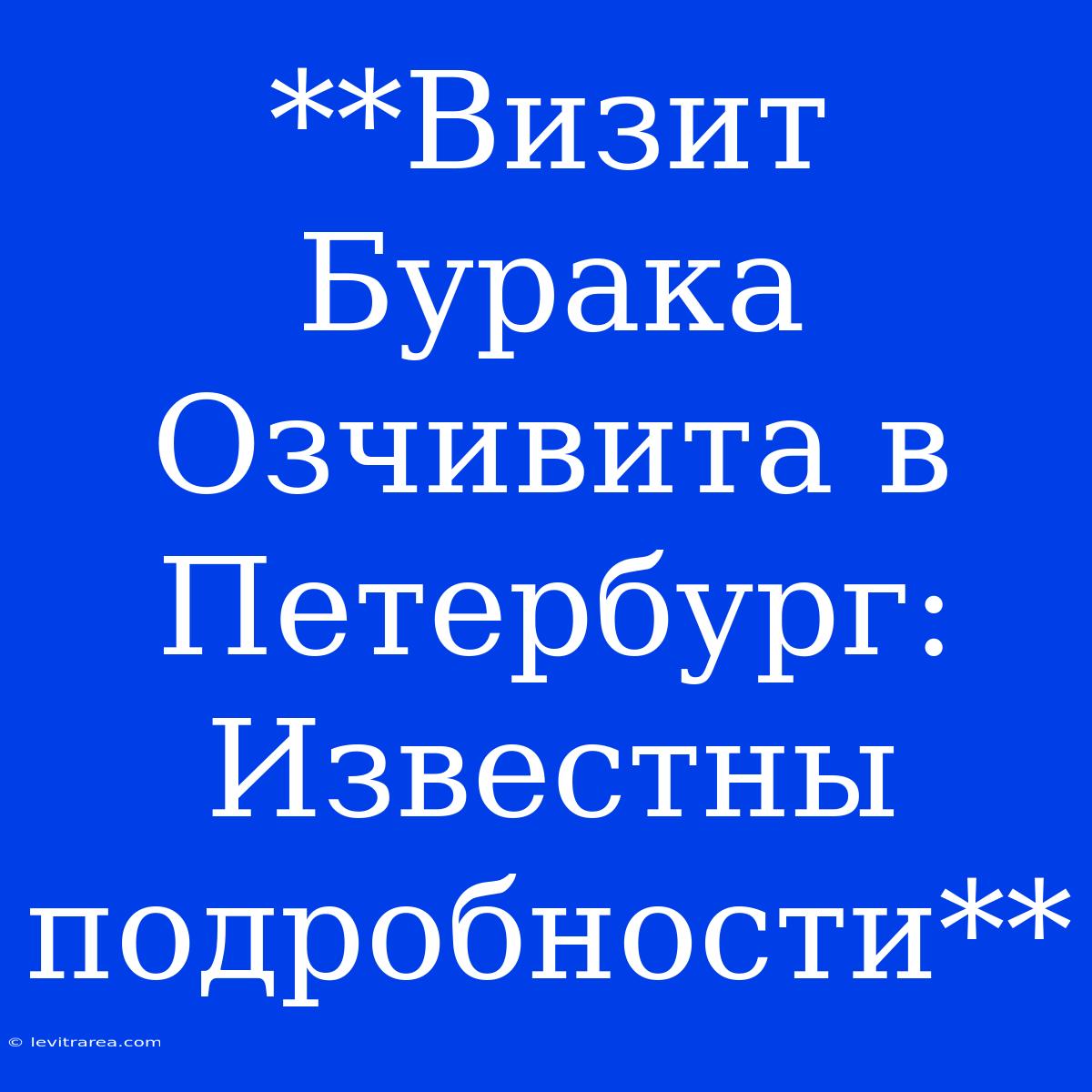 **Визит Бурака Озчивита В Петербург: Известны Подробности**