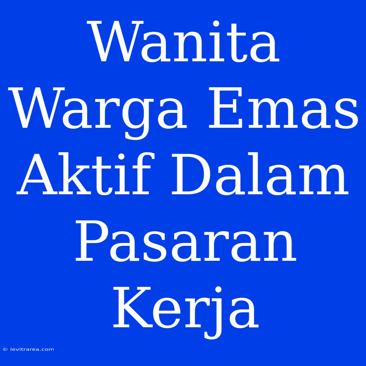 Wanita Warga Emas Aktif Dalam Pasaran Kerja