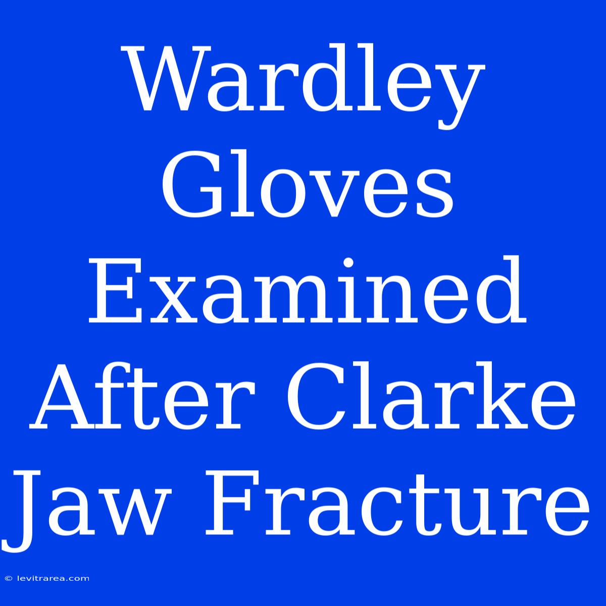 Wardley Gloves Examined After Clarke Jaw Fracture