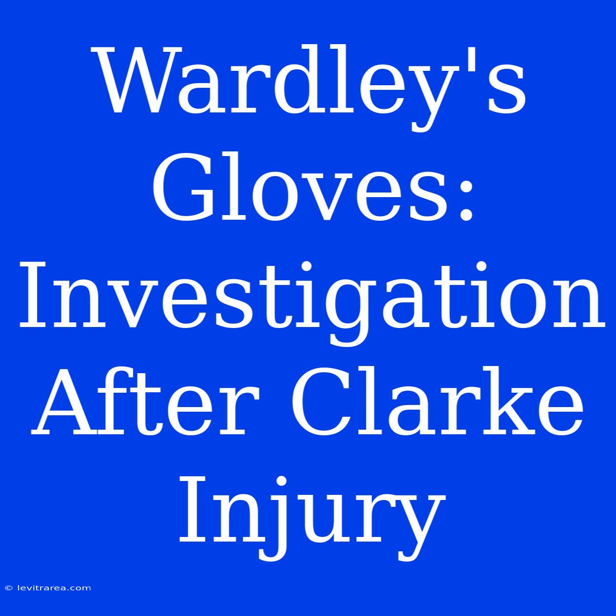 Wardley's Gloves: Investigation After Clarke Injury