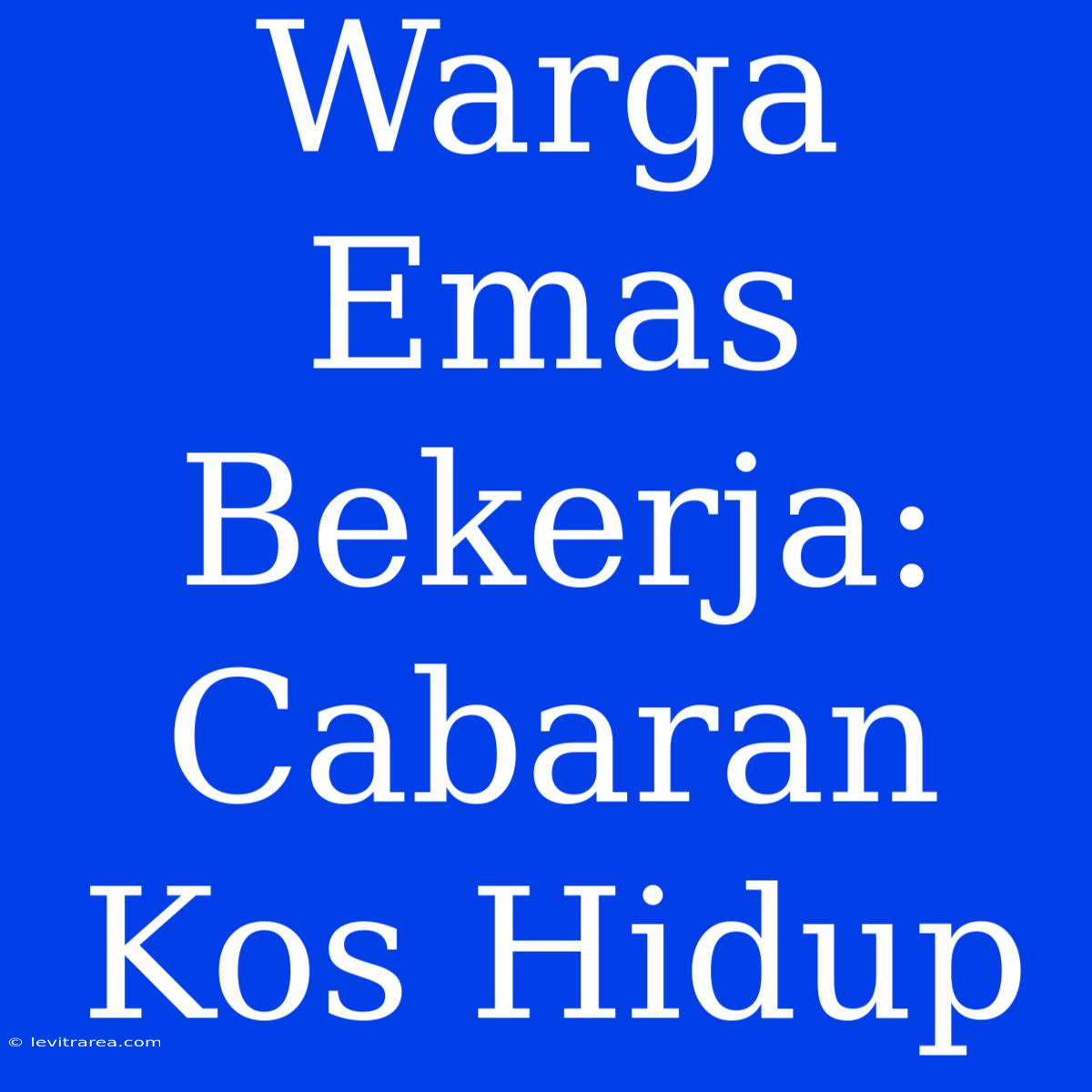 Warga Emas Bekerja: Cabaran Kos Hidup