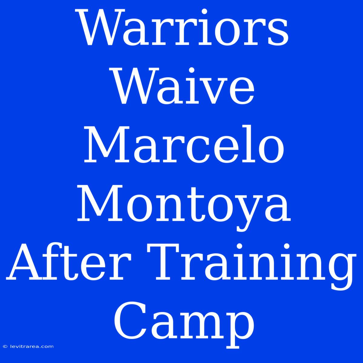 Warriors Waive Marcelo Montoya After Training Camp