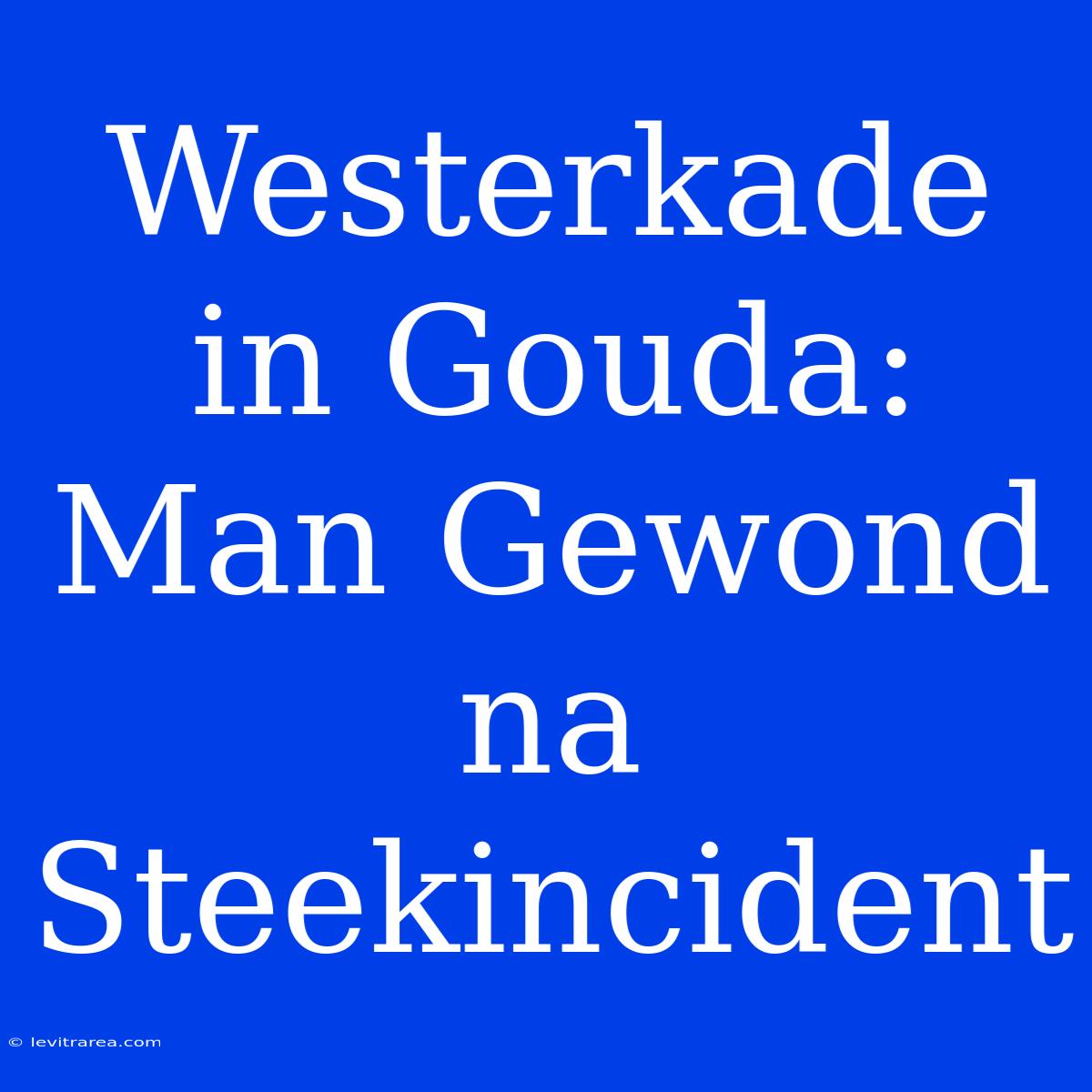 Westerkade In Gouda: Man Gewond Na Steekincident