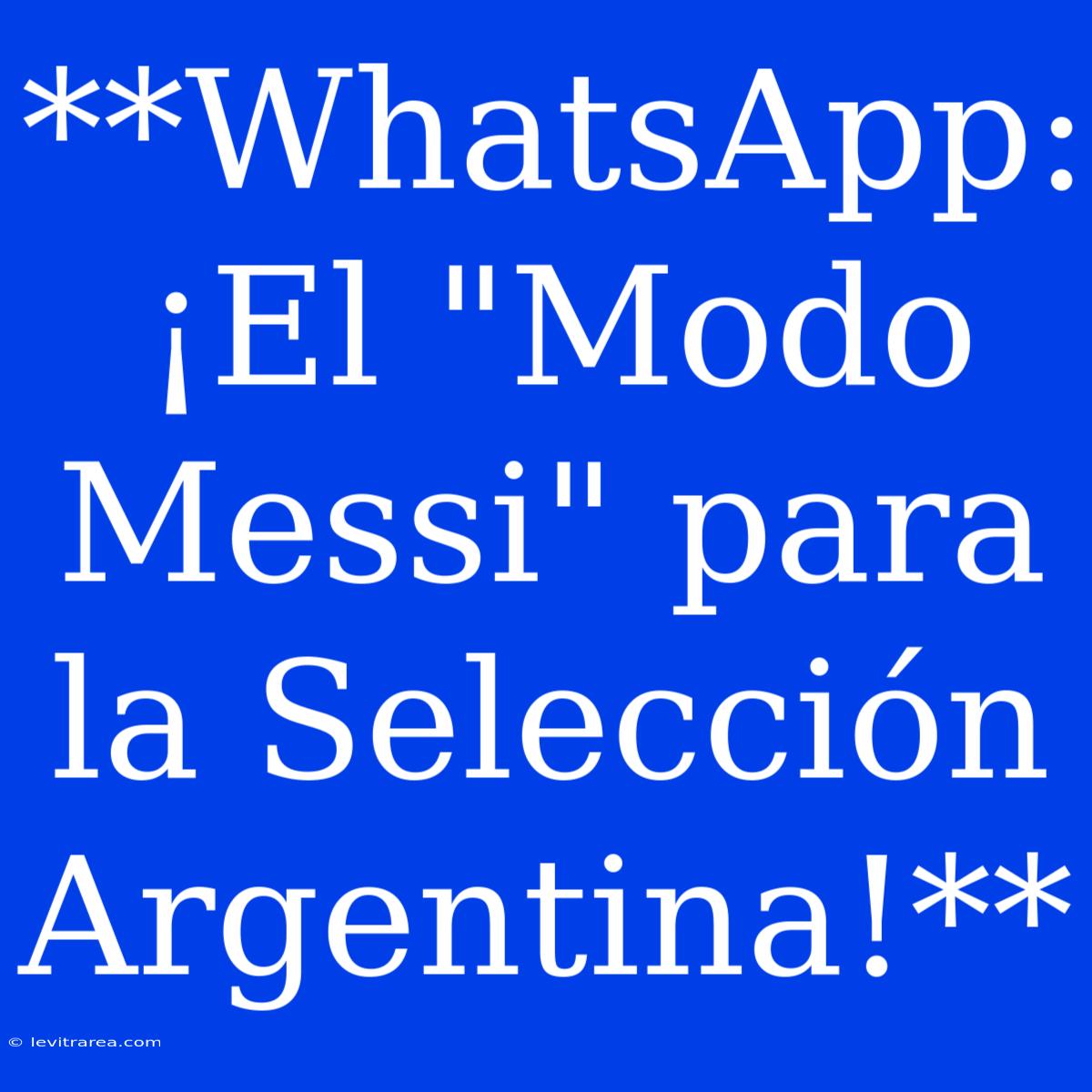 **WhatsApp: ¡El 