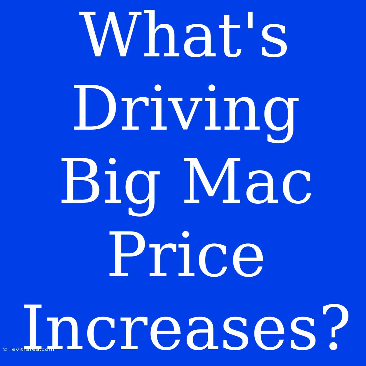 What's Driving Big Mac Price Increases?