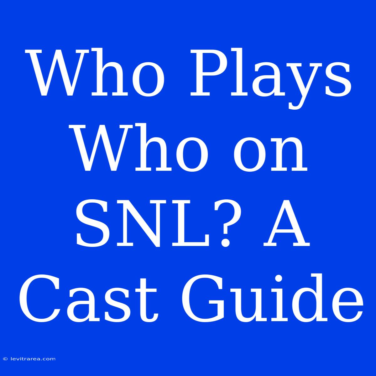 Who Plays Who On SNL? A Cast Guide