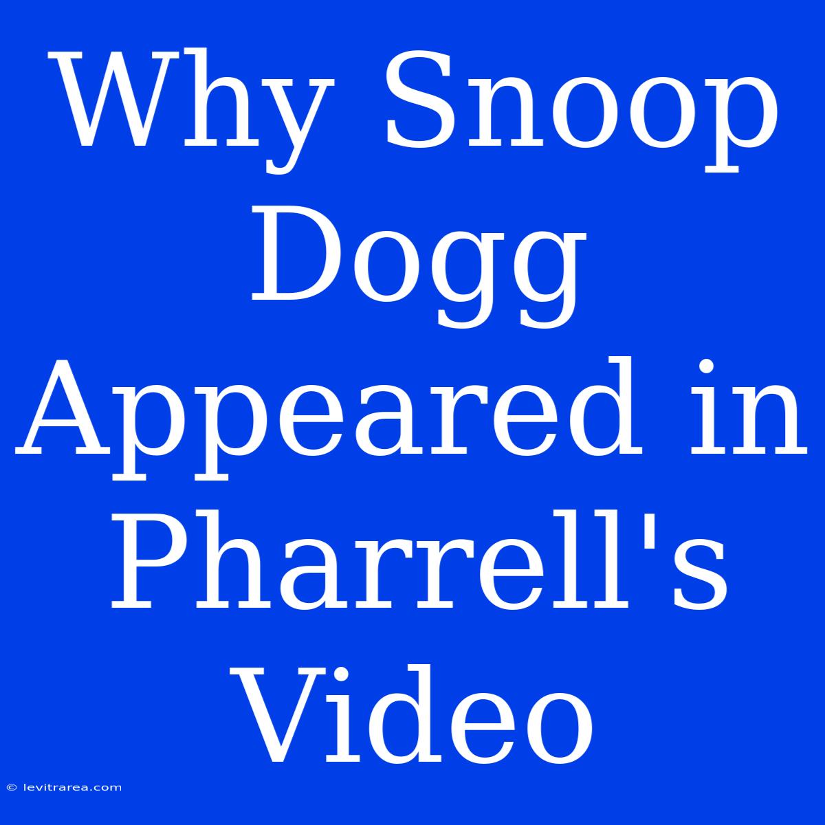 Why Snoop Dogg Appeared In Pharrell's Video 