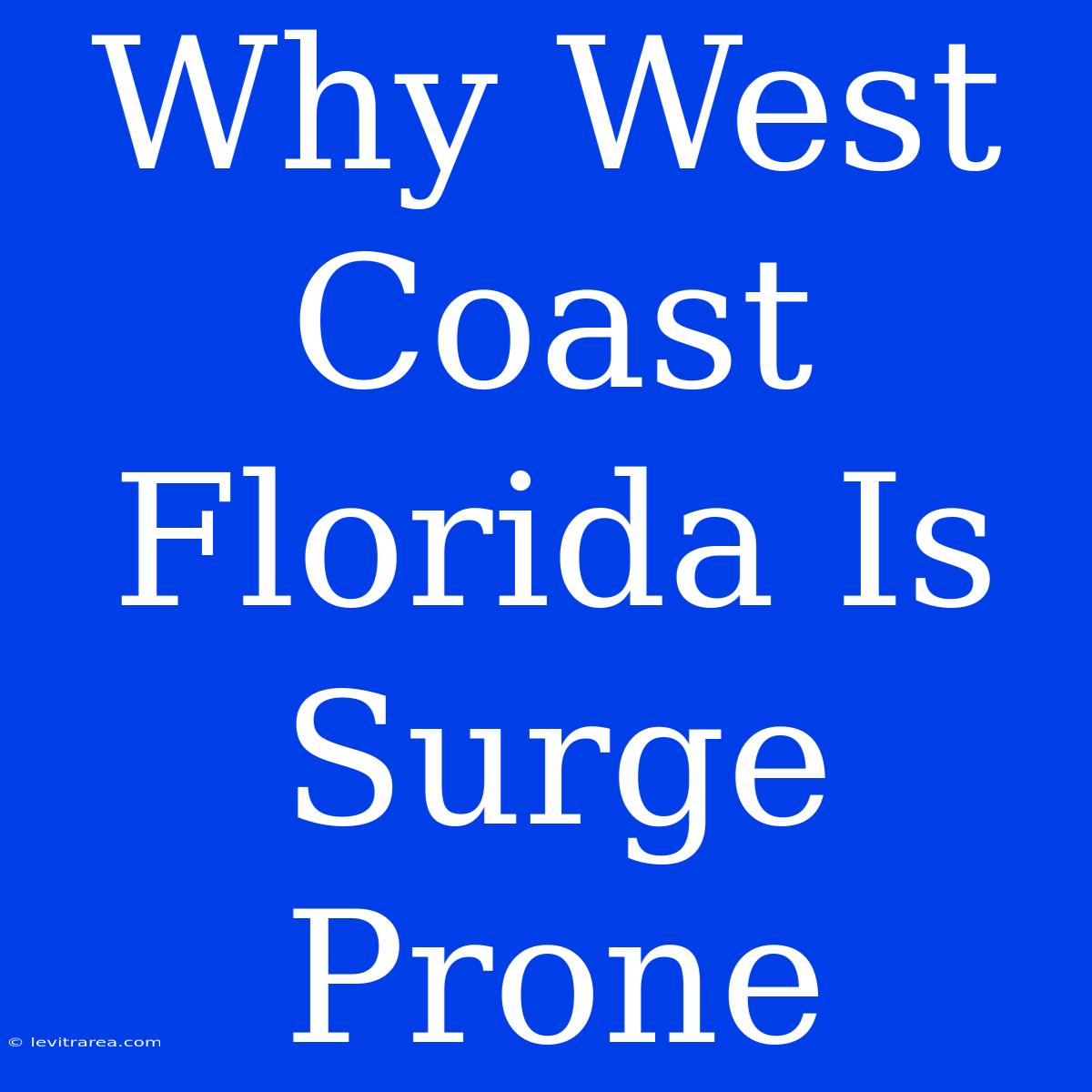 Why West Coast Florida Is Surge Prone 