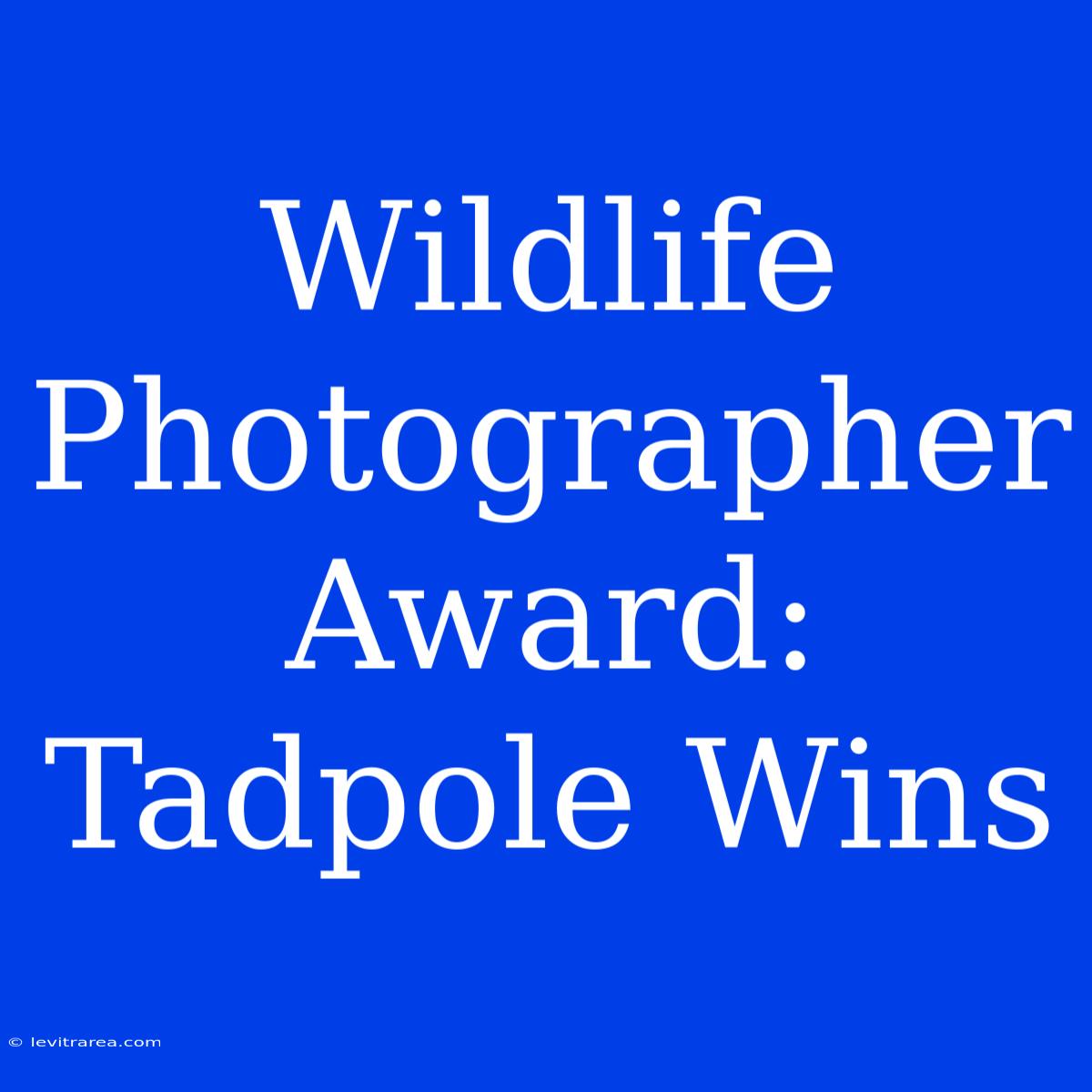 Wildlife Photographer Award:  Tadpole Wins 