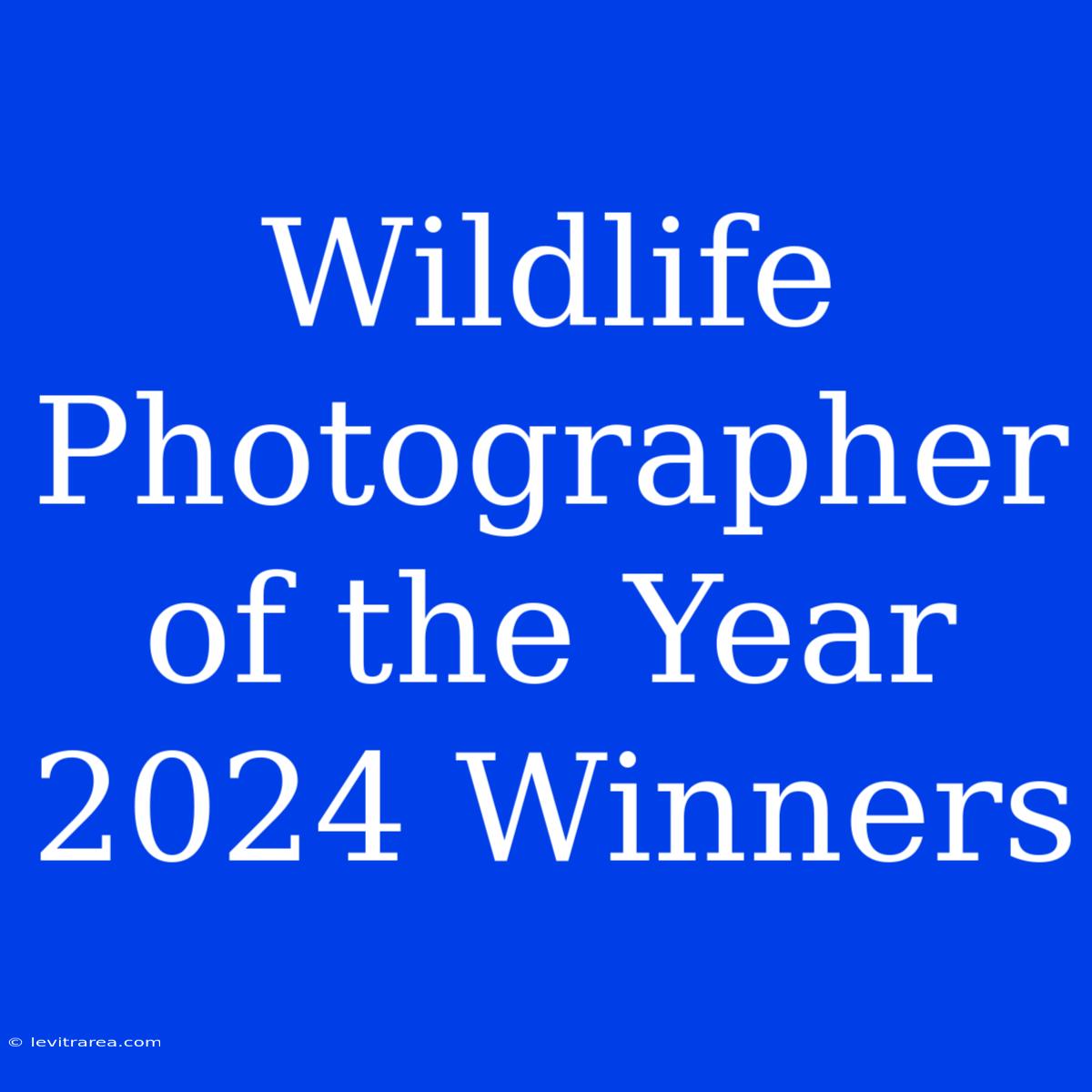 Wildlife Photographer Of The Year 2024 Winners