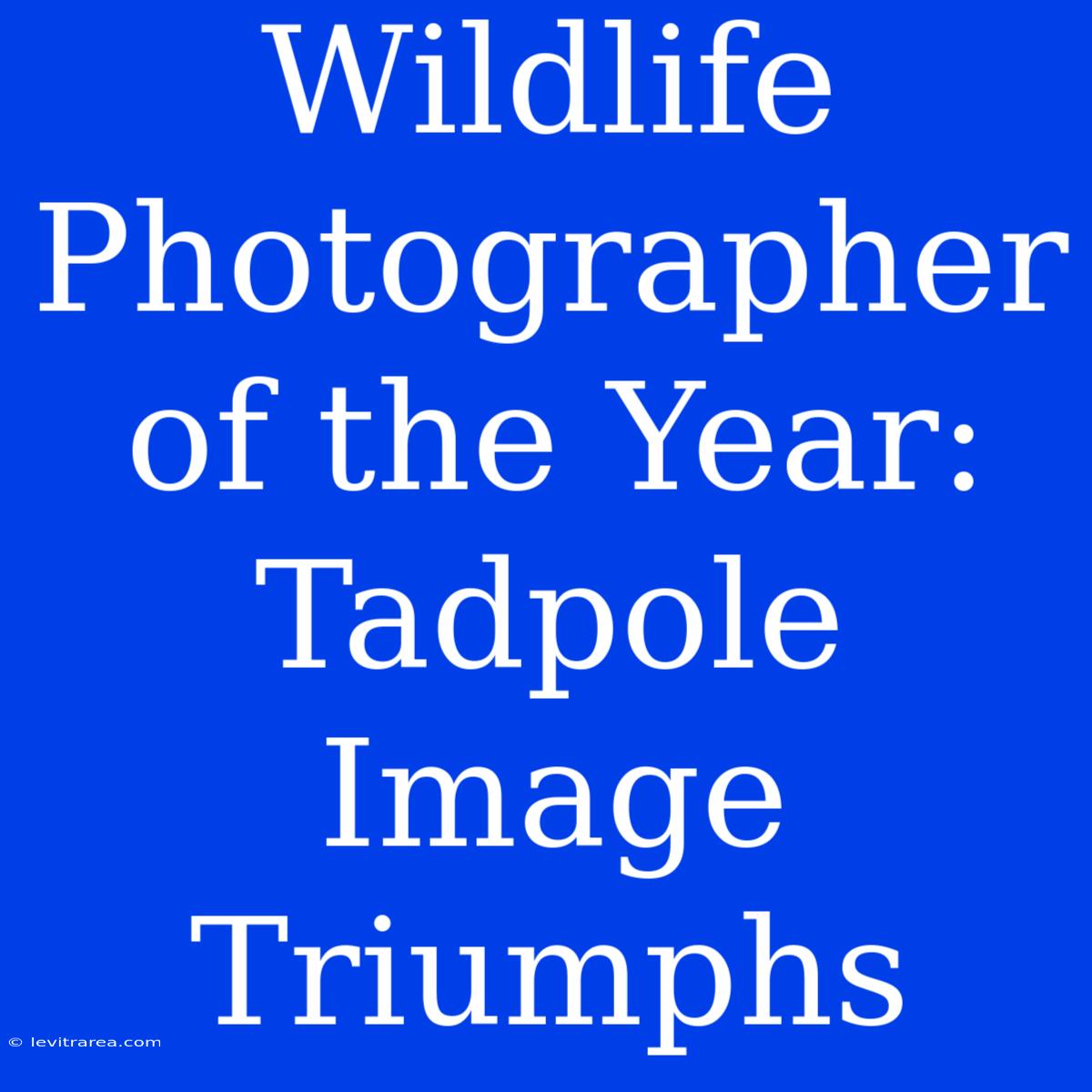 Wildlife Photographer Of The Year: Tadpole Image Triumphs