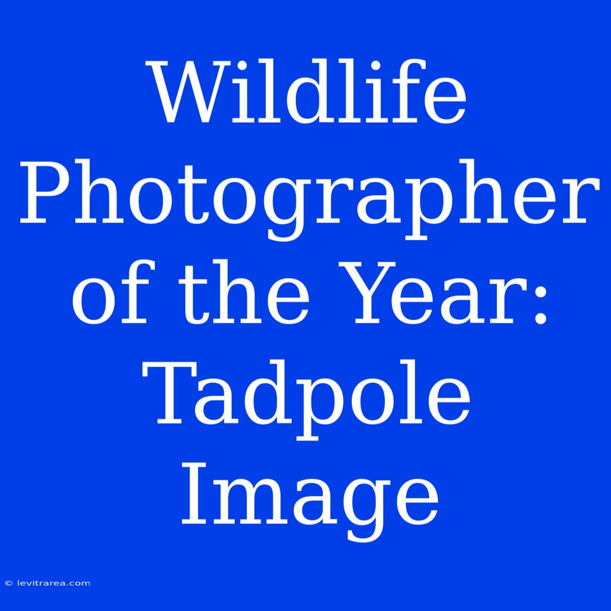 Wildlife Photographer Of The Year: Tadpole Image 