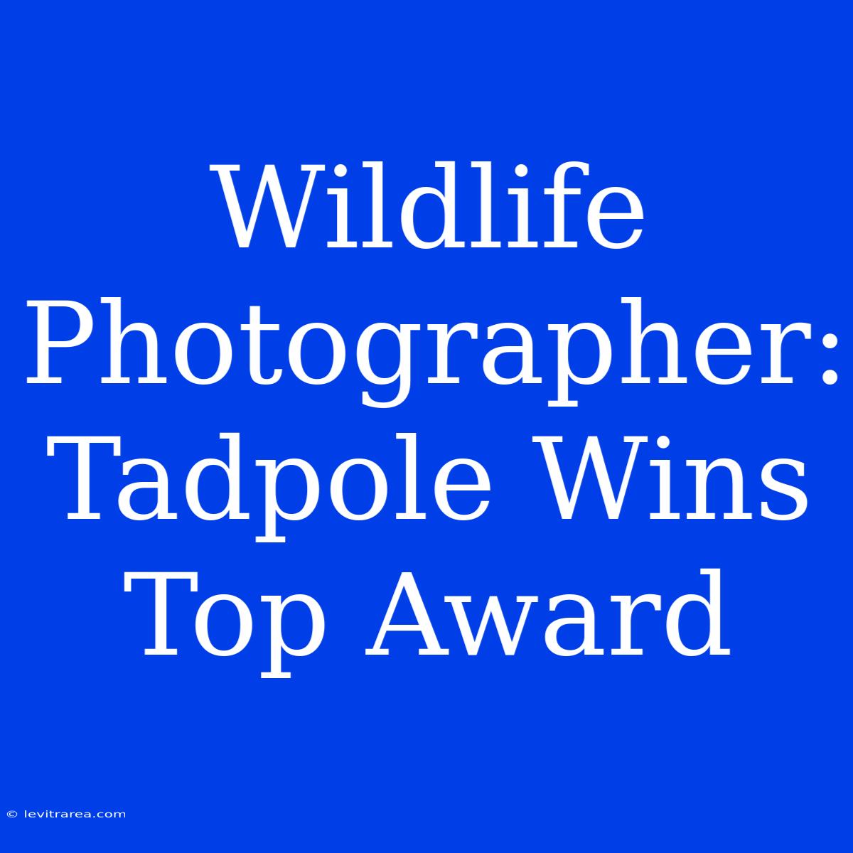 Wildlife Photographer: Tadpole Wins Top Award