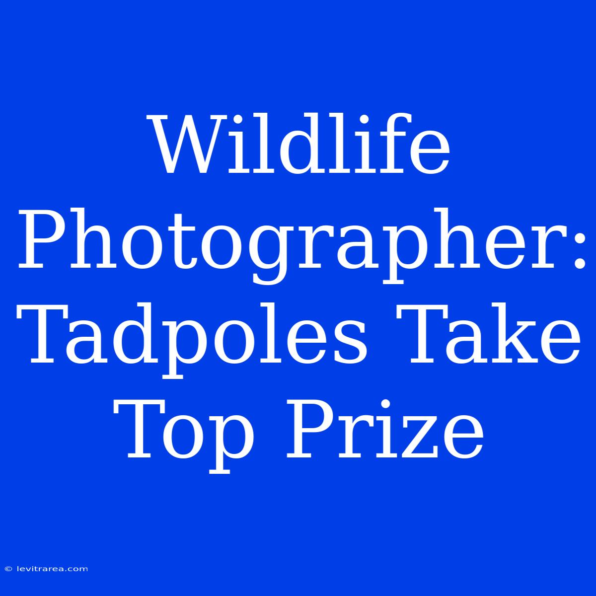 Wildlife Photographer: Tadpoles Take Top Prize