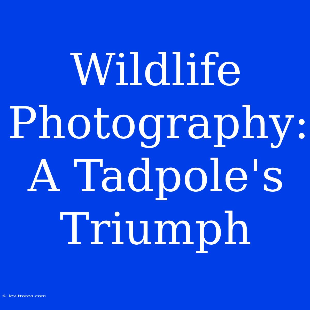 Wildlife Photography: A Tadpole's Triumph