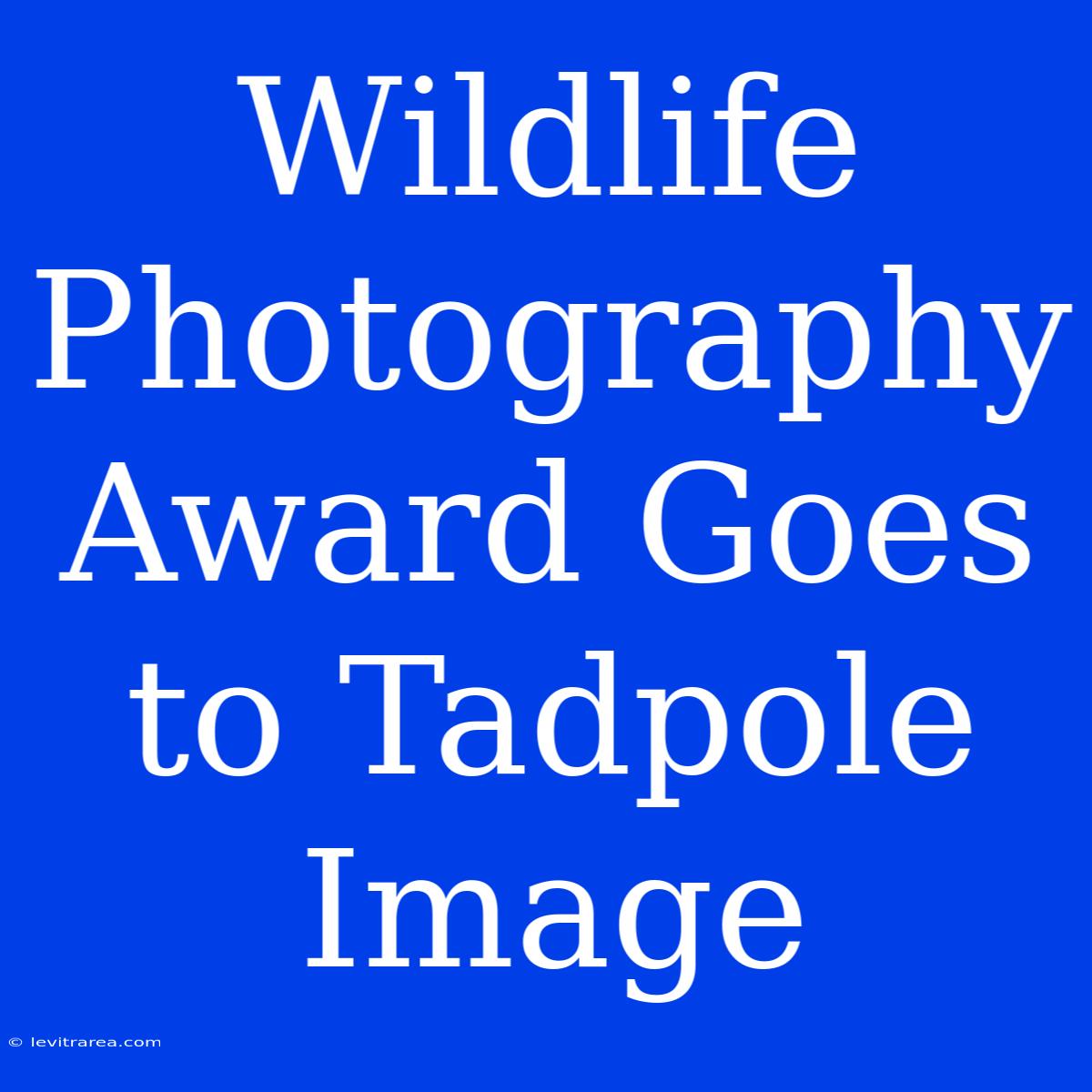 Wildlife Photography Award Goes To Tadpole Image